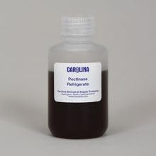 Carolina Pectinase Fruit-Breakdown Enzyme - 100 mL - image 4