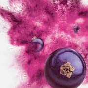 ViBERi Organic Blackcurrant Powder - 20 Sachets - image 4