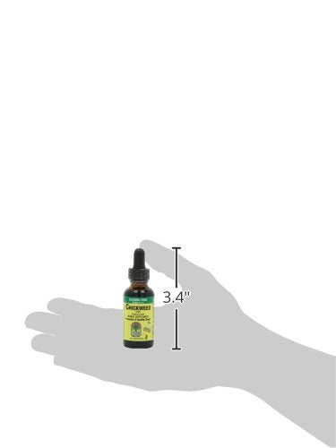 Nature's Answer Alcohol-Free Chickweed Liquid Extract - 1 Fl Oz - image 2