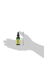 Nature's Answer Alcohol-Free Chickweed Liquid Extract - 1 Fl Oz - image 2