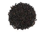 Generic Elderberry Brew-at-Home Kit - 30 Ounce
