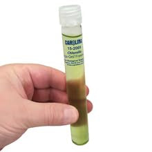 Carolina Chlorella Living Culture - 1 Count - image 4