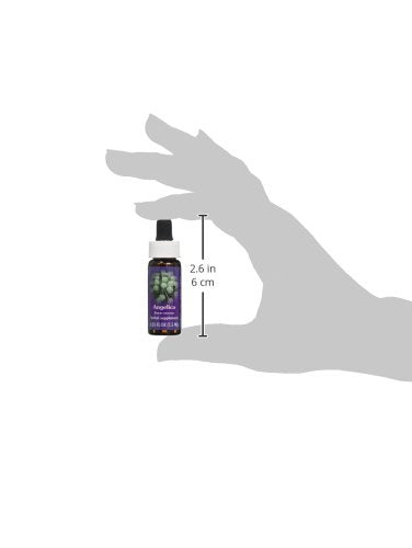 Flower Essence Services Angelica Essence - 0.25 oz - image 3