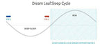 Dream Leaf Pro Lucid Dreaming Supplement - 60 Capsules - image 7