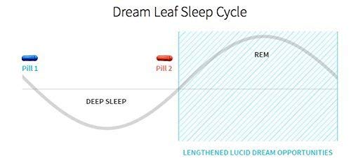 Dream Leaf Pro Lucid Dreaming Supplement - 60 Capsules - image 7