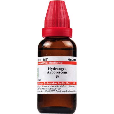 Schwabe Hydrangea Arborescens Mother Tincture Q - 100ml