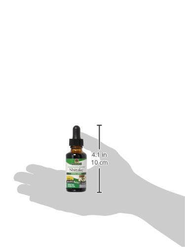 Nature's Answer Shiitake Mushroom Extract Alcohol Free - 1 Fl Oz - image 2