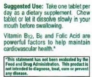 Dialyvite Vitamin B12 1000 mcg Methylcobalamin Chewable - 60 Wafers - image 3