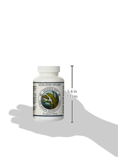 Kebiyu Modifilan Supplement - 540 Capsules (Pack of 6) - image 2