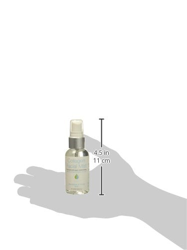 Hyalogic HA Collagen Facial Mist - 0.3 oz - image 5