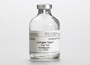 CORNBIO Corning Collagen I Rat Tail Gel - 100 mg