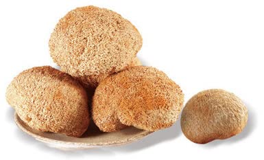 Plant Gift Hericium Mushroom Powder - 100g - image 6