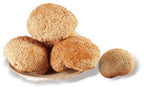 Plant Gift Hericium Mushroom Powder - 100g - image 6