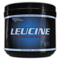 Serious Nutrition Solution Leucine Powder - 500 Grams