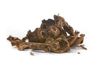 Osha Root Ligusticum Porteri 400 GM