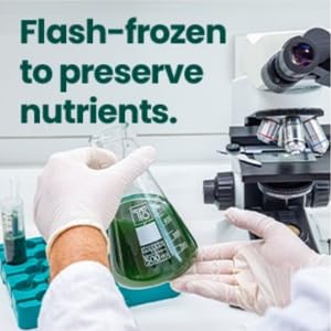 Simpliigood Frozen Spirulina Premium Superfood - 120 Cubes - image 3