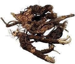 Osha Root Ligusticum Porteri 400 GM - image 3
