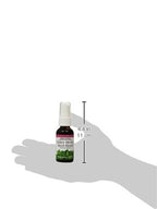 Eclectic Elderberry Root Spray - 1 Fl Oz - image 3