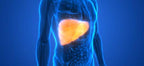 PRIVATE LABEL LLC Liver Support Complex 1200 mg - 120 Capsules - image 4