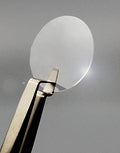 Electron Microscopy Sciences Poly-D-Lysine German Glass Coverslips 12mm