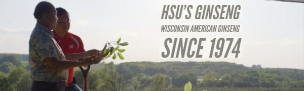 Hsu's American Ginseng Tea Bags