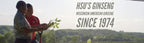 Hsu's American Ginseng Tea Bags