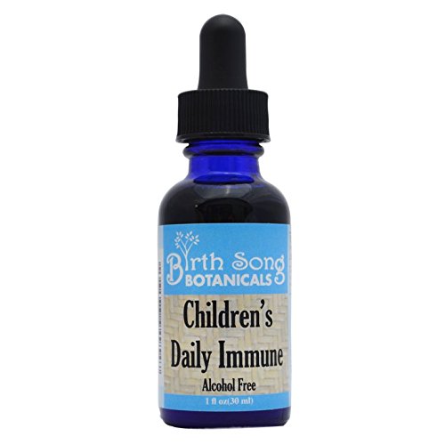 Birth Song Botanicals Children's Organic Daily Immune Herbal Tincture - 1oz