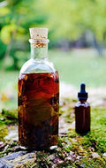 greenleaf Pao Pereira Bark Tincture - 2 fl oz