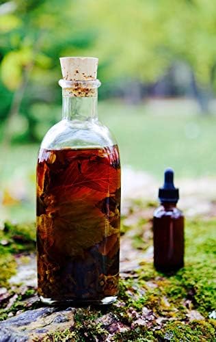 greenleaf Pao Pereira Bark Tincture - 2 fl oz