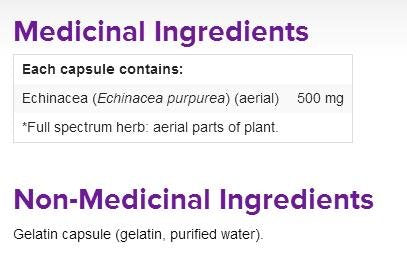 Webber Naturals Echinacea Herb Full Spectrum 500 mg - 60 Capsules - image 2