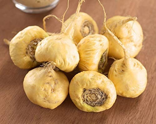 Food to Live Organic Maca Powder Gelatinized