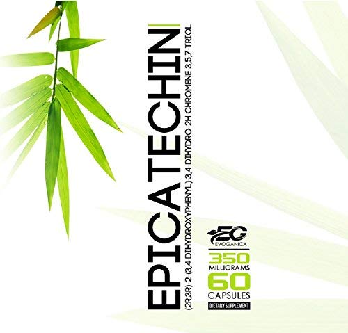 EVOGANICA Epicatechin 350mg - 60 Capsules - image 2