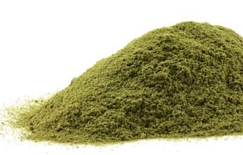 Acameci Ginkgo Biloba Leaf Powder 100% Pure Organic - 2 oz - image 2