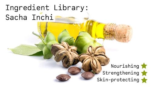 eSutras Organics Sacha Inchi Vegan Omega Oil - 16 Fl Oz - image 3