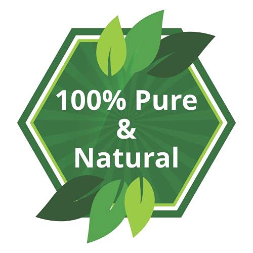 Salvia Echinacea Oil Pure and Natural Echinacea Oil Extract - image 4