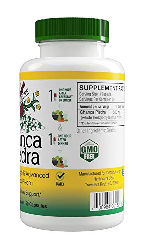HERBACURE Chanca Piedra 500 mg Kidney Health - 60 Capsules - image 2