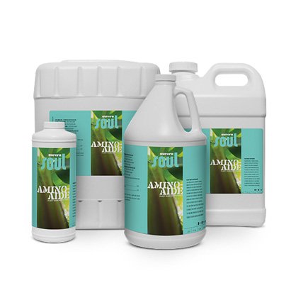 SOUL Amino Aide Qt - 12 Pack