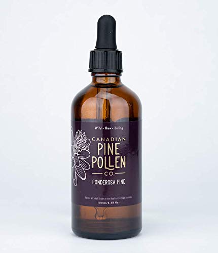 Canadian Pine Pollen Tincture 100% Wild Ponderosa - 100ml