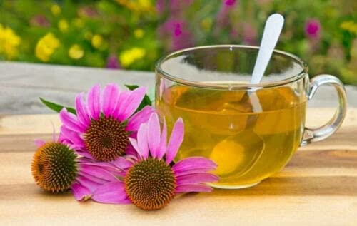 Nature Tea Echinacea Herb - Echinacea purpurea Loose Leaf C/S 100%
