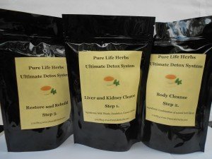 Purelife Herbs 3-Step Herbal Detox Body Cleanse - Tea Bags