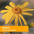 Herb Pharm Certified Organic Arnica Liquid Extract - 1 Fl Oz - image 4