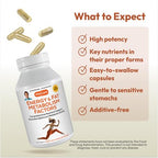 ANDREW LESSMAN Energy and Fat Metabolism Factors Capsules - Promotes