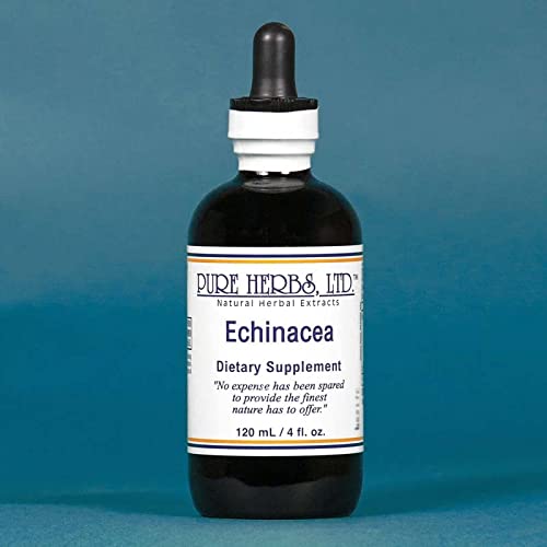 Pure Herbs Echinacea Liquid - 4 fl oz