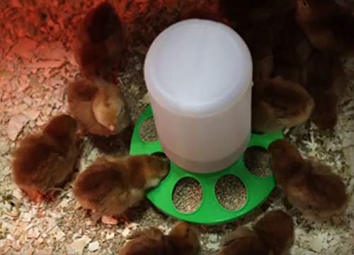 Country Heritage Chicken Egg Shell Hardener Calcium Supplement - 5 lb - image 2