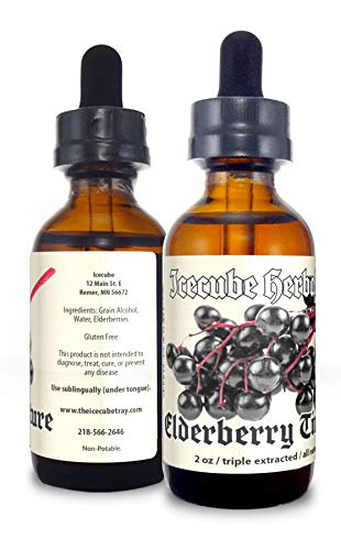 Icecube's Chaga Triple-Extracted Elderberry Extract - 2 oz.