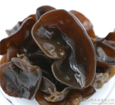 Root Mushroom Farm- Mushroom Liquid Cultures - image 7