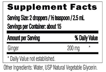 HoneyCombs Ginger Alcohol-Free Liquid Extract - 1 Bottle - image 2