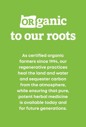 Oregon's Wild Harvest Certified Organic Nettle Capsules with Stinging - image 5