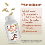 ANDREW LESSMAN Energy and Fat Metabolism Factors Capsules - Promotes