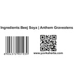 Yuvika Beej Soya Seeds (Dil Seeds) - 100 Grams - image 4